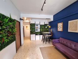 Leith Road (D19), Terrace #532924031